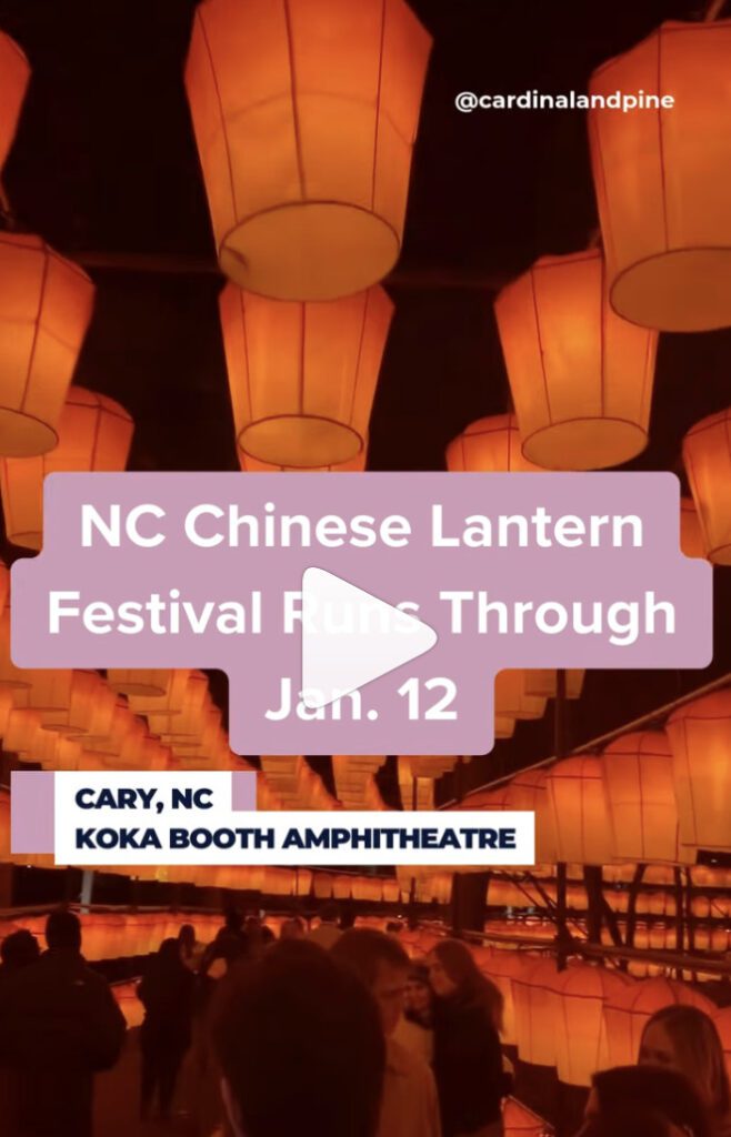 CULTURE - Cardinal & Pine